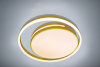 Потолочный светильник LED LAMPS LED LAMPS 81304