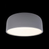 Потолочный светильник Axel Loft It 10201/350 Grey