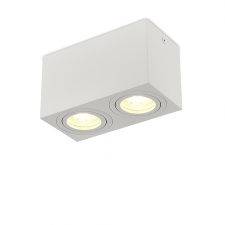 Точечный светильник Basis DL18613SQ2W