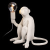 Интерьерная настольная лампа Monkey 10314T/A