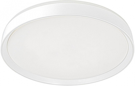 Светильник потолочный Citilux Boss CL751450G