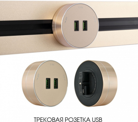 Трековая розетка Arte Milano Am-track-sockets 380011TS/USBx2 Gold