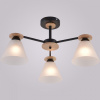 Люстра на штанге Reluce 01625-1 01625-0.3-03 BK+WOOD