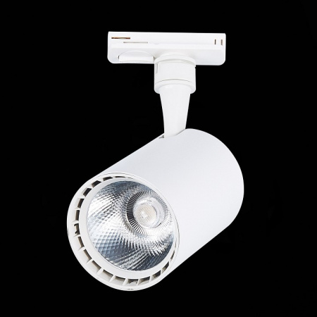 Светильник на штанге ST-Luce Cami ST351.536.20.24