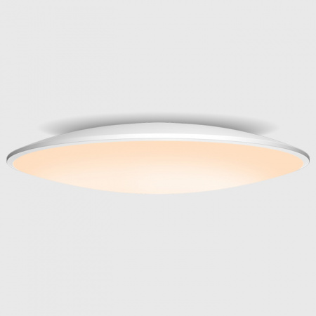Потолочный светильник Slim 7978