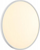 Настенно-потолочный светильник Alfa White 7659/48L