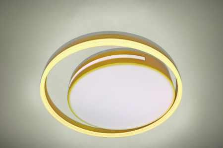 Потолочный светильник LED LAMPS LED LAMPS 81304
