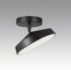 Потолочный светильник Mira Black 7656/12L