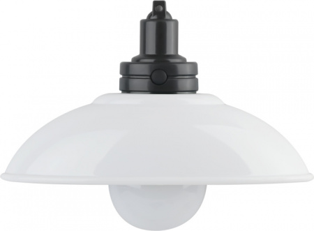 Ночник NLED-487-1W-SW-W