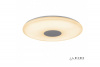 Светильник потолочный ILedex Jupiter Jupiter-60W-Opaque-Entire