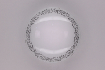 Настенно потолочный светильник Citilux Вьюнок CL917010