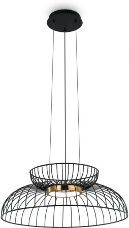 Подвесной светильник Citrus FR5398PL-L6B