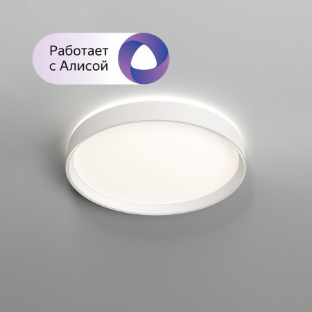 Накладной светильник Denkirs PLATO DK6510-WH/1