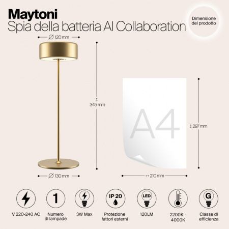 Интерьерная настольная лампа AI Collaboration MOD229TL-L3G3K2