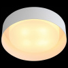 Светильник потолочный ST Luce Chio SL392.502.04