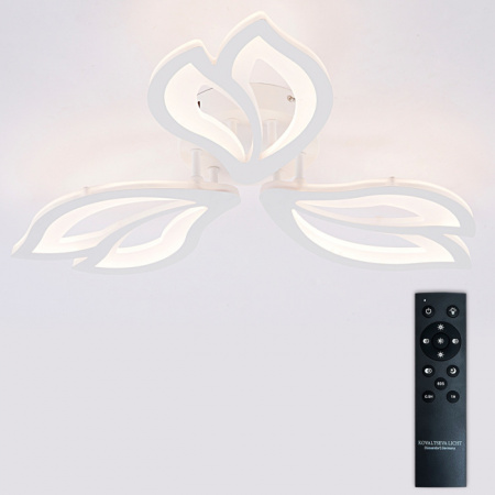 Потолочная люстра Fortuna LED LAMPS 81107/2C