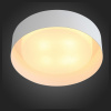 Светильник потолочный ST Luce Chio SL392.502.04