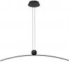 Светильник подвесной Arte Lamp Arno A3362SP-25BK