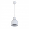 Светильник подвесной Arti Lampadari Colata Colata E 1.3.P1 W