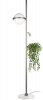 Торшер Jardin 10121/F Dark grey