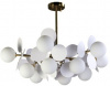 Потолочная люстра Zortes Floret ZRS.01201.12