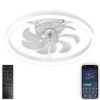 Потолочная люстра Ledfan LED LAMPS 81489