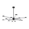 Потолочная люстра Ferrara 3307.6296-12 Black