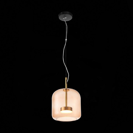 Светильник подвесной ST Luce Palochino SL1053.273.01