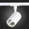 Светильник на штанге ST-Luce Cami ST351.536.20.24