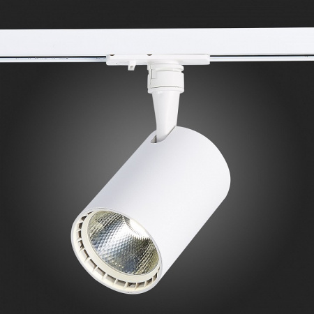 Светильник на штанге ST-Luce Cami ST351.536.20.24