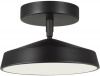 Потолочный светильник Mira Black 7656/12L