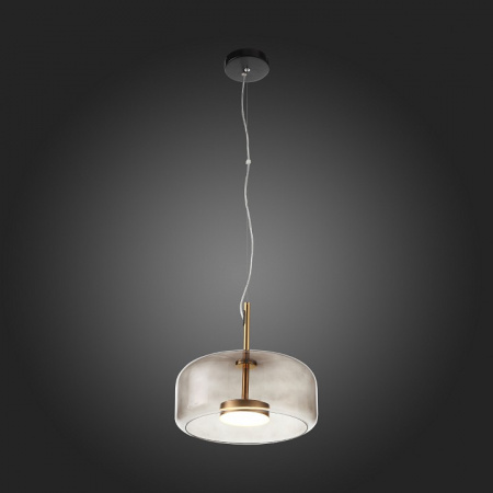 Светильник подвесной ST Luce Palochino SL1053.243.01