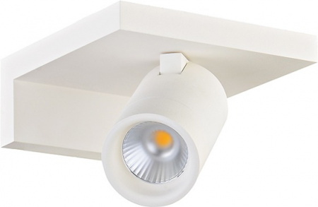 Настенный светильник Bookish DL18441/01 White R Dim