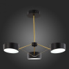 Люстра на штанге EVOLUCE Valle SLE6005-402-03