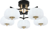 Потолочная люстра Halma 10301/5LED