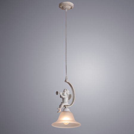 Светильник подвесной Arte Lamp Amur A1133SP-1WG