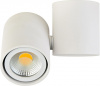 Точечный светильник Eva A1594White/RAL9003