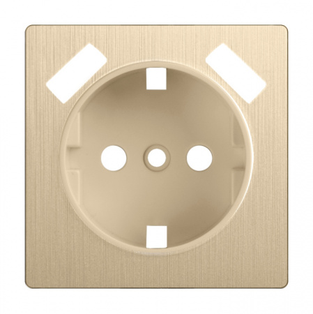 Накладка на механизм Werkel W1179510/ Накладка для розетки USB (шампань рифленый)
