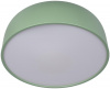 Потолочный светильник Axel Loft It 10201/480 Green