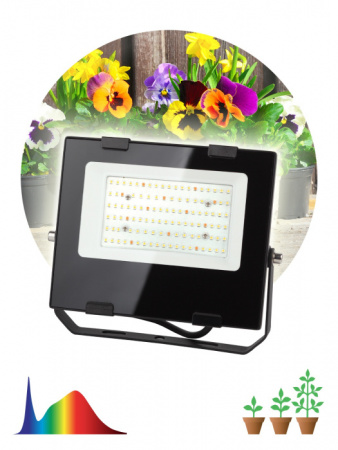 Светильник для растений FITO-50W-Ra90-LED