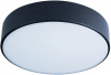 Потолочный светильник Axel Loft It 10002/12 Black