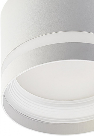 Накладной светильник Citilux Hardy CL002C10