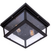 Потолочная люстра Modern Filament LOFT3110-2C