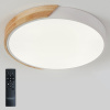 Светильник потолочный Natali Kovaltseva Scandinavian LED LAMPS 81181