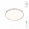 Накладной светильник Denkirs PLATO DK6510-WH/1