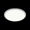 Потолочный светильник Sweety 10454/400 White