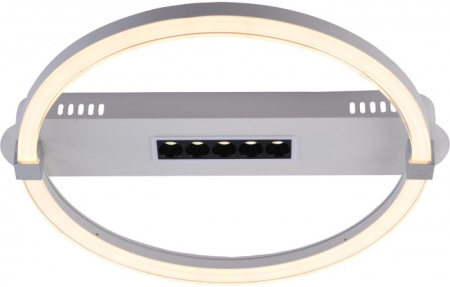Потолочная люстра Aspect 10253/1LED