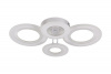 Потолочная люстра Natali Kovaltseva LEDLIGHT LED LAMPS 81196