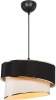 Подвесной светильник Bertina TL1622H-01BW