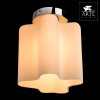 Светильник потолочный Arte Lamp A3479PL-1CC